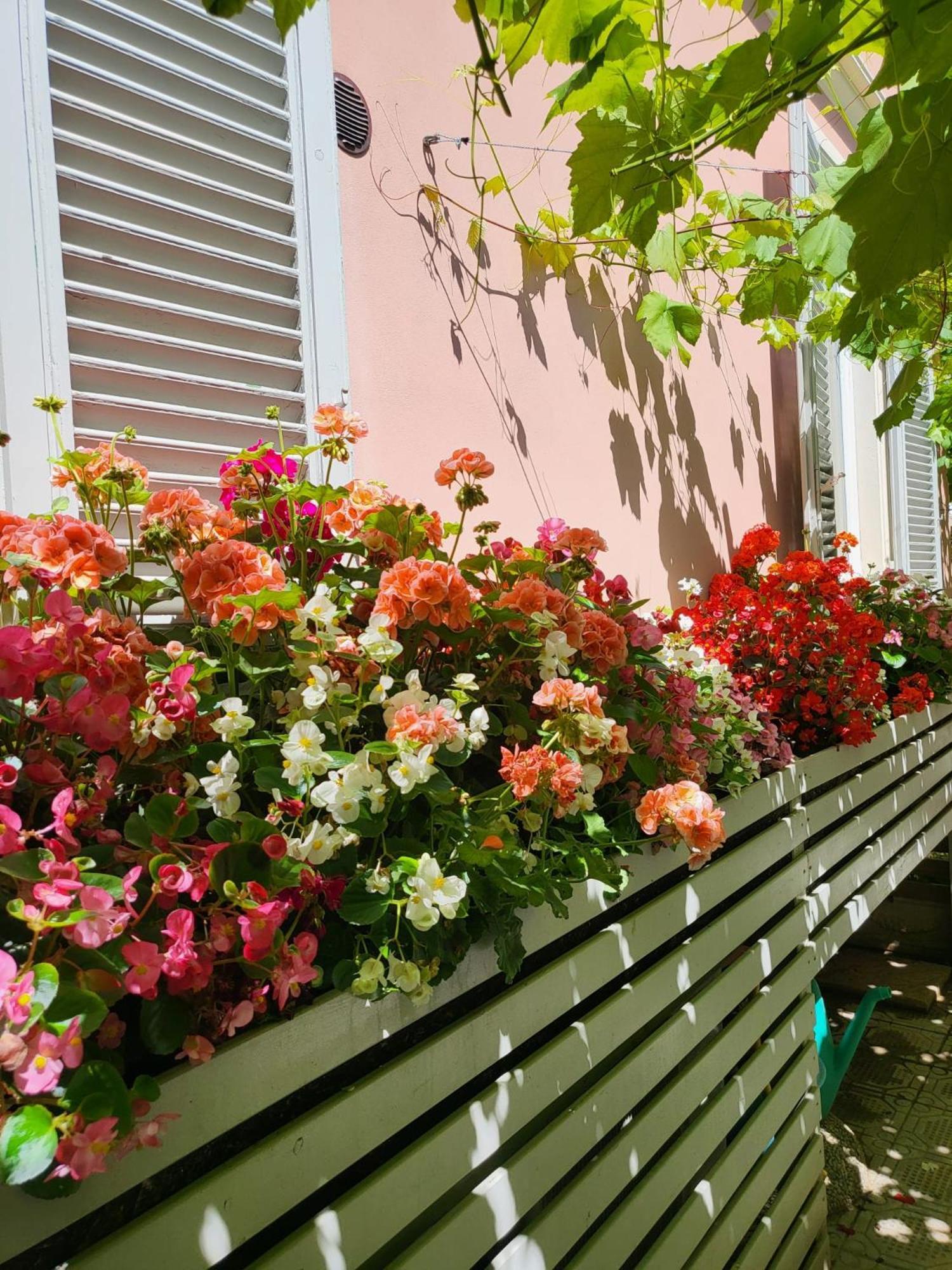 Il Buen Retiro Guest house *