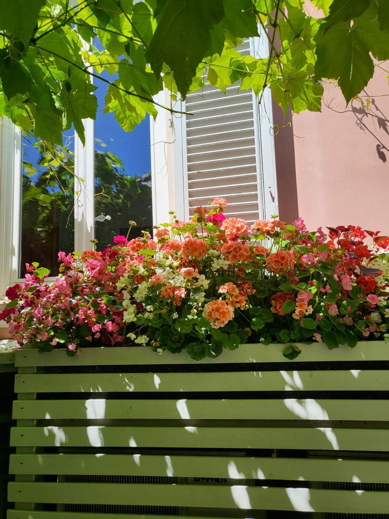 Il Buen Retiro Guest house