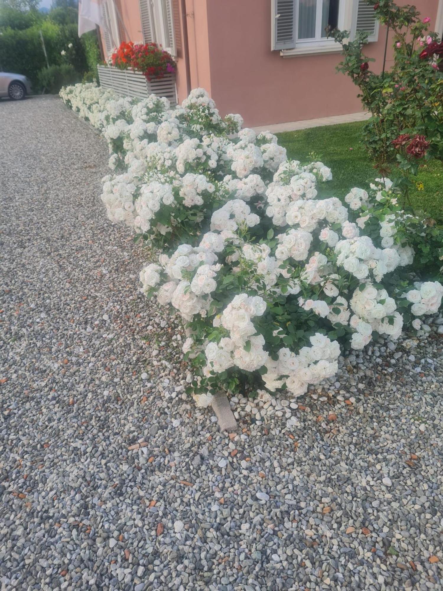 Il Buen Retiro Guest house