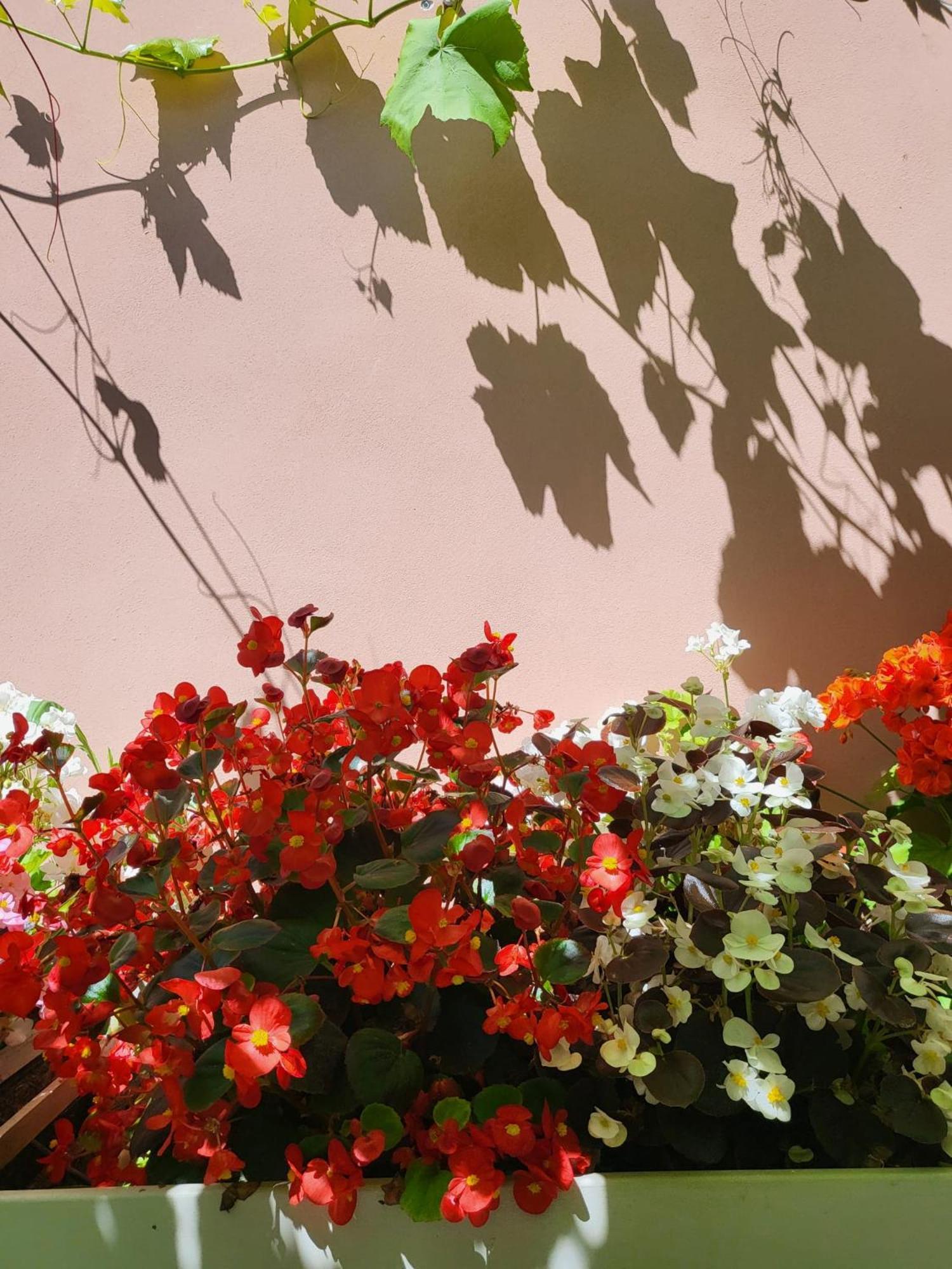 Il Buen Retiro Guest house *